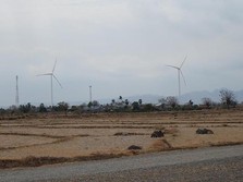 Seperti Eropa, Ini Penampakan Kebun Angin Terbesar Kedua RI