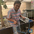 Mau Bisnis Ternak Lele Cuan Melimpah? Begini Caranya!