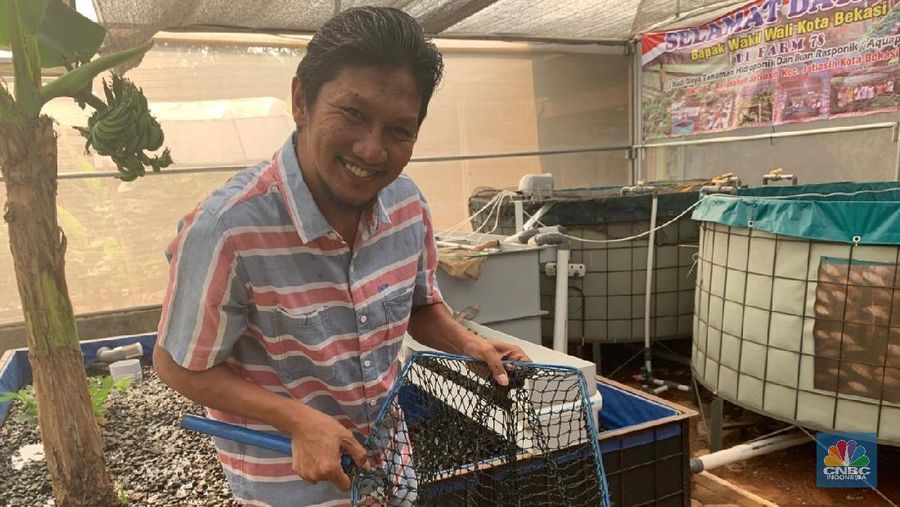 Pengusaha ternak lele ini berbagi ilmu soal membangun bisnis yang bisa bikin untung jutaan rupiah