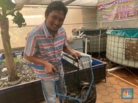 Mau Bisnis Ternak Lele Cuan Melimpah? Begini Caranya!