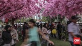 Pengunjung menikmati berbagai kesenian Jepang yang dihadirkan di festival Jak-Japan Matsuri 2019. (CNN Indonesia/Bisma Septalisma)