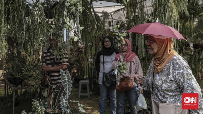 Foto Pameran Flora Fauna 2019