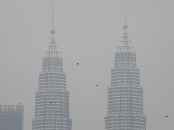 Lagi, Malaysia & Negara Ini Terimbas Kebakaran Parah Hutan RI