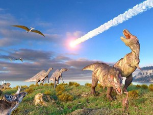 Makhluk Mungil Ini Berhasil Bertahan dari Hantaman Asteroid 66 Juta Tahun Lalu