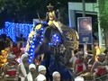 VIDEO: Gajah Mengamuk di Sri Lanka Cederai Sejumlah Orang