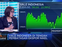 Harga Nikel Domestik Murah, Ini Saran INCO Ke Pemerintah