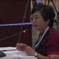 Capim Lili Setuju dengan Revisi UU KPK, Tapi...
