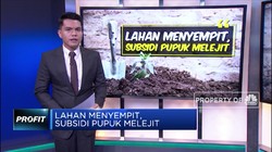 Lahan Menyempit, Subsidi Pupuk Melejit