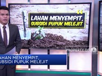 Lahan Menyempit, Subsidi Pupuk Melejit
