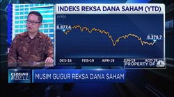 2019, Musim Gugur Reksa Dana Saham