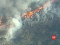 VIDEO: Australia Curiga Anak 12 Tahun Sengaja Bakar Hutan