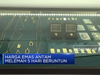 Harga Emas Antam Melemah 5 Hari Beruntun
