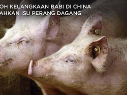 Heboh Harga Daging Babi di China Kalahkan Isu Perang Dagang