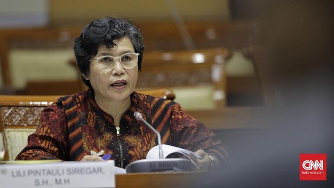 Capim KPK Lili Konfirmasi soal Jumlah LHKPN Rp70 Juta