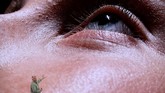 Kedua iPhone 11 Pro dibekali tiga kamera 12 MP yakni wide angle dengan f/1.8, tele dengan f2.4 dan ultrawide dengan 120 derajat pemandangan dan bukaan f2.0. (Justin Sullivan/Getty Images/AFP)