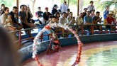 Di tempat lain di pulau itu, pengunjung dengan penuh semangat menempatkan taruhan pada perlombaan monyet berenang. (AFP/Nhac Nguyen)