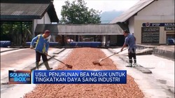Industri Coklat Keluhkan Bahan Baku Kakao