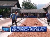 Industri Coklat Keluhkan Bahan Baku Kakao