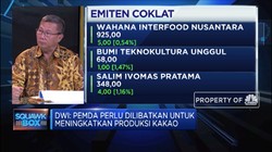Produksi Turun, Petani Kakao Butuh Dukungan