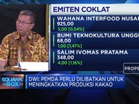Produksi Turun, Petani Kakao Butuh Dukungan