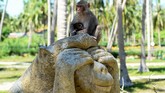 Di Pulau Monyet, kera-kera mengendarai sepeda motor, mengangkat beban, dan menembak bola basket dalam pertunjukan sirkus yang berakhir dengan seekor monyet dengan rok berenda yang mengumpulkan uang saweran para penonton. (AFP/Nhac Nguyen)
