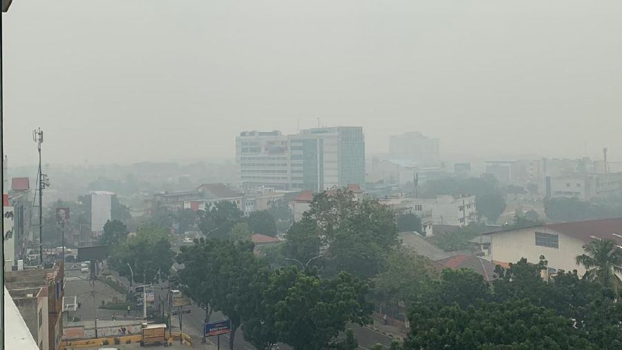 Kebakaran hutan dan asapnya jadi masalah serius penerbangan.