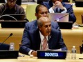 Di PBB, Indonesia Tegaskan Mustahil Ulangi Referendum Papua