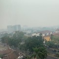 Pak Jokowi, Kualitas Udara Pekanbaru Sudah Berbahaya