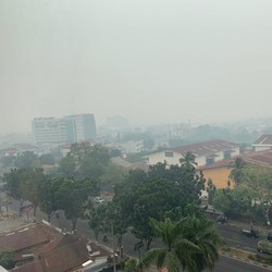 Pak Jokowi, Kualitas Udara Pekanbaru Sudah Berbahaya