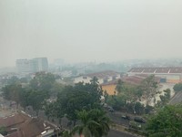 Pak Jokowi, Kualitas Udara Pekanbaru Sudah Berbahaya