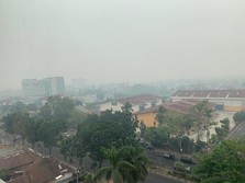 Gawat, Kualitas Udara Riau Berbahaya Bagi Manusia