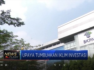 Hambat Investasi, Pemerintah Janji Pangkas 72 Undang-Undang