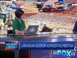 Setelah Nikel, Ekspor Bauksit & Alumunium Akan Dilarang