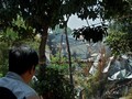 Gudang Amunisi Mako Brimob Semarang Meledak