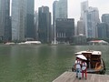 WN Malaysia dan Singapura Mengeluh Hirup Kabut Asap Indonesia