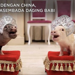 Beda dengan China, RI Swasembada Daging Babi