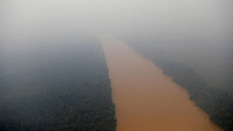 Berdasarkan data dari AirVisual kualitas udara di Pekanbaru dan Palangkaraya dinyatakan dalam kategori berbahaya.