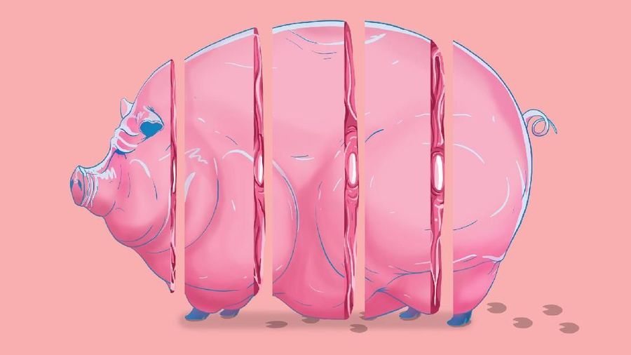 Karena Babi Adalah Kunci, China Terancam Inflasi Tinggi