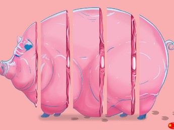 RI Swasembada Babi, Tapi China Tidak