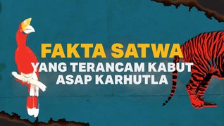 INFOGRAFIS: Satwa yang Terancam Kabut Asap Karhutla