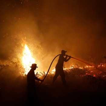 Waspada! Kualitas Udara di Pekanbaru & Palangkaraya Berbahaya