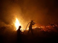 Waspada! Kualitas Udara di Pekanbaru & Palangkaraya Berbahaya