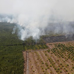 30% Penerbangan Batal karena Asap, Kalbar Paling Parah