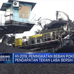 Laba Bersih PTBA Anjlok 24% (YOY) Di Semester I 2019