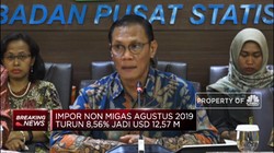 BPS : Nilai Impor Agustus 2019 Mencapai USD 14,20 M