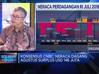 Piter Abdullah : Industri Domestik Terdesak Kebijakan
