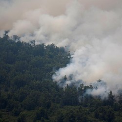 Bencana Asap, Menhub Akui Bikin Rugi Maskapai Penerbangan