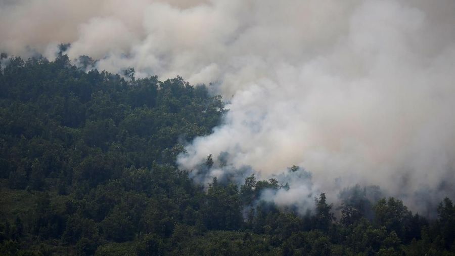 Kabut asap akibat kebakaran hutan dan lahan di wilayah Sumatra Selatan mulai memakan korban.