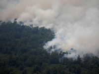 Bencana Asap, Menhub Akui Bikin Rugi Maskapai Penerbangan