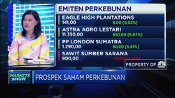 Harga CPO Melejit, Saham Emiten Perkebunan Ikut Naik